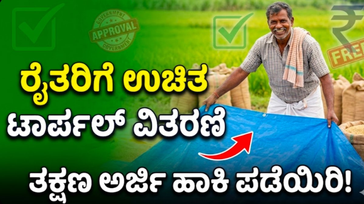 Free tarpoulin scheme